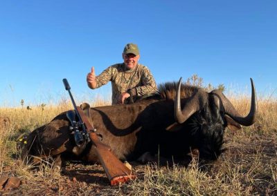 Black Wildebeeste