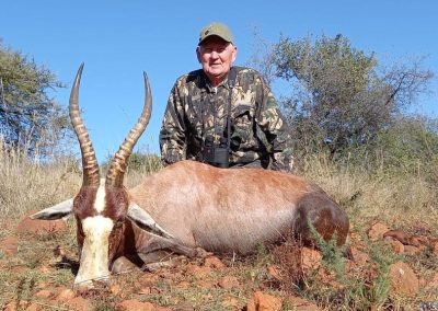 Blesbuck