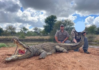 Crocodile
