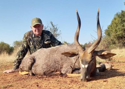Nyala
