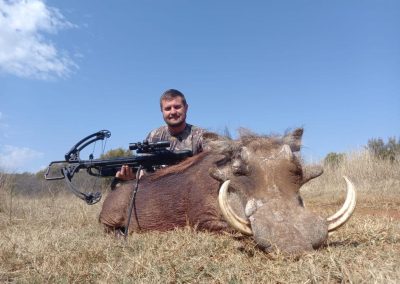 Warthog