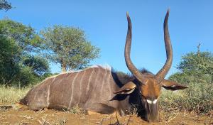 20240220 072039-Copy