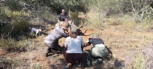 20240323 092311-Copy