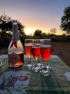 IMG-20230415-WA000539